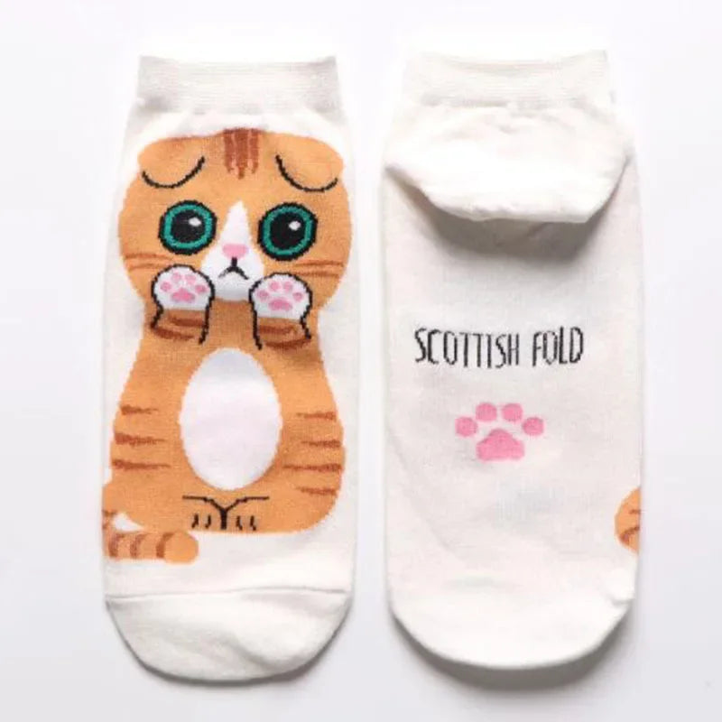 Cute Cat Ankle Socks (5 Pairs set)